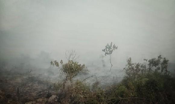 Kebakaran Hutan dan Lahan di Kampar Belum Berhasil Dipadamkan